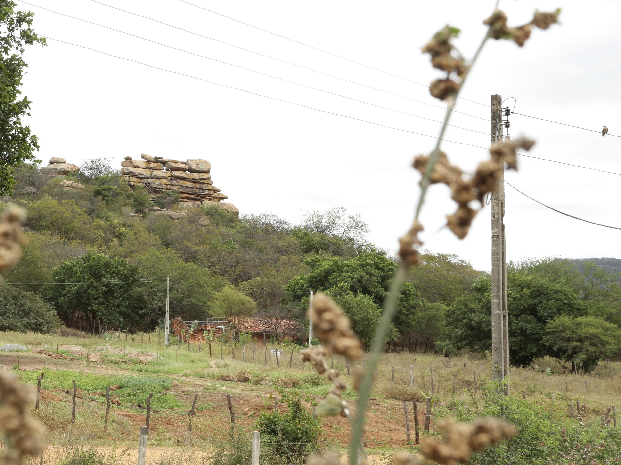 NOTA TÉCNICA – Seca e calor: É o que as tendências climáticas apontam para os próximos meses no território brasileiro.