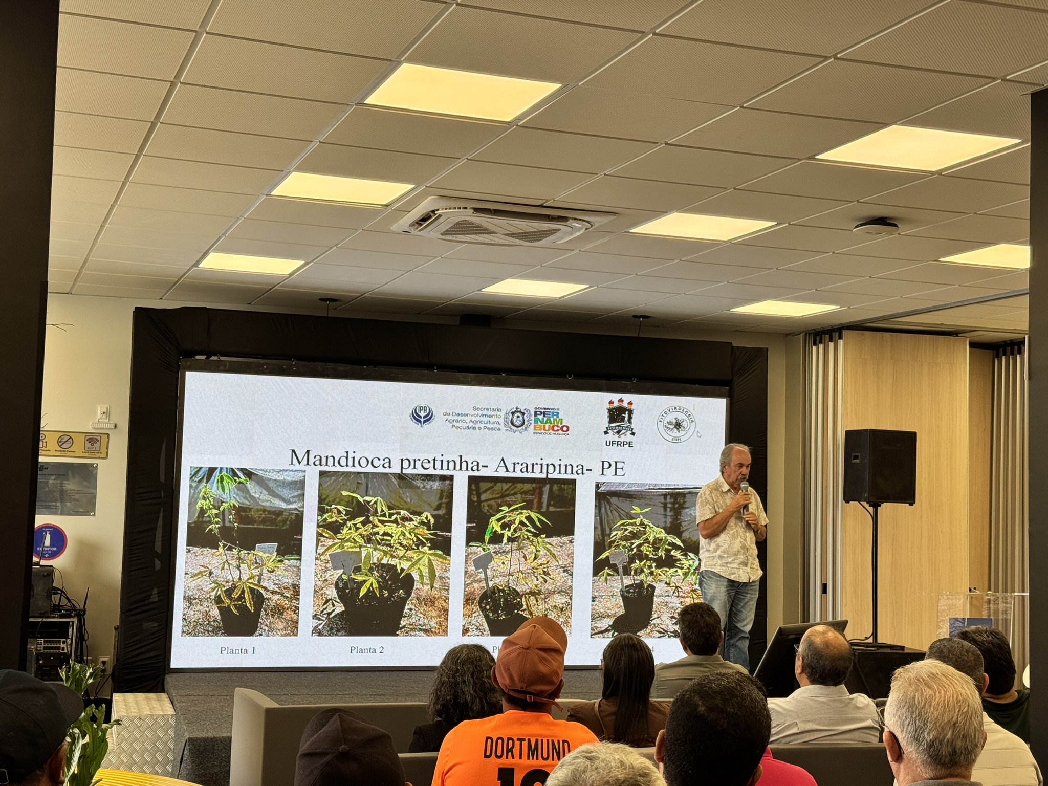 IPA participa de seminário sobre prevenção e controle da Vassoura-de-Bruxa na mandioca no Sertão do Araripe