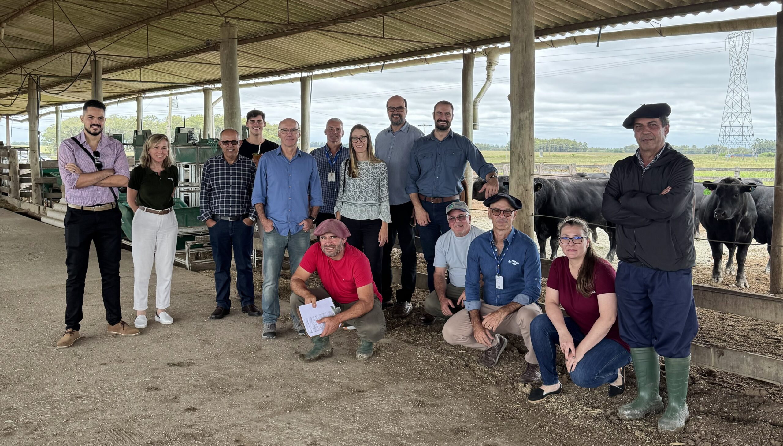 Pesquisador do IPA integra projeto nacional de edição gênica para tolerância ao calor em bovinos