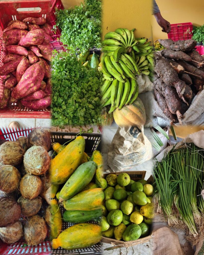 As Cores da Fartura, da Nutrição e da Saúde: Como Barra de Guabiraba Reproduz a Essência do PAA em Pernambuco