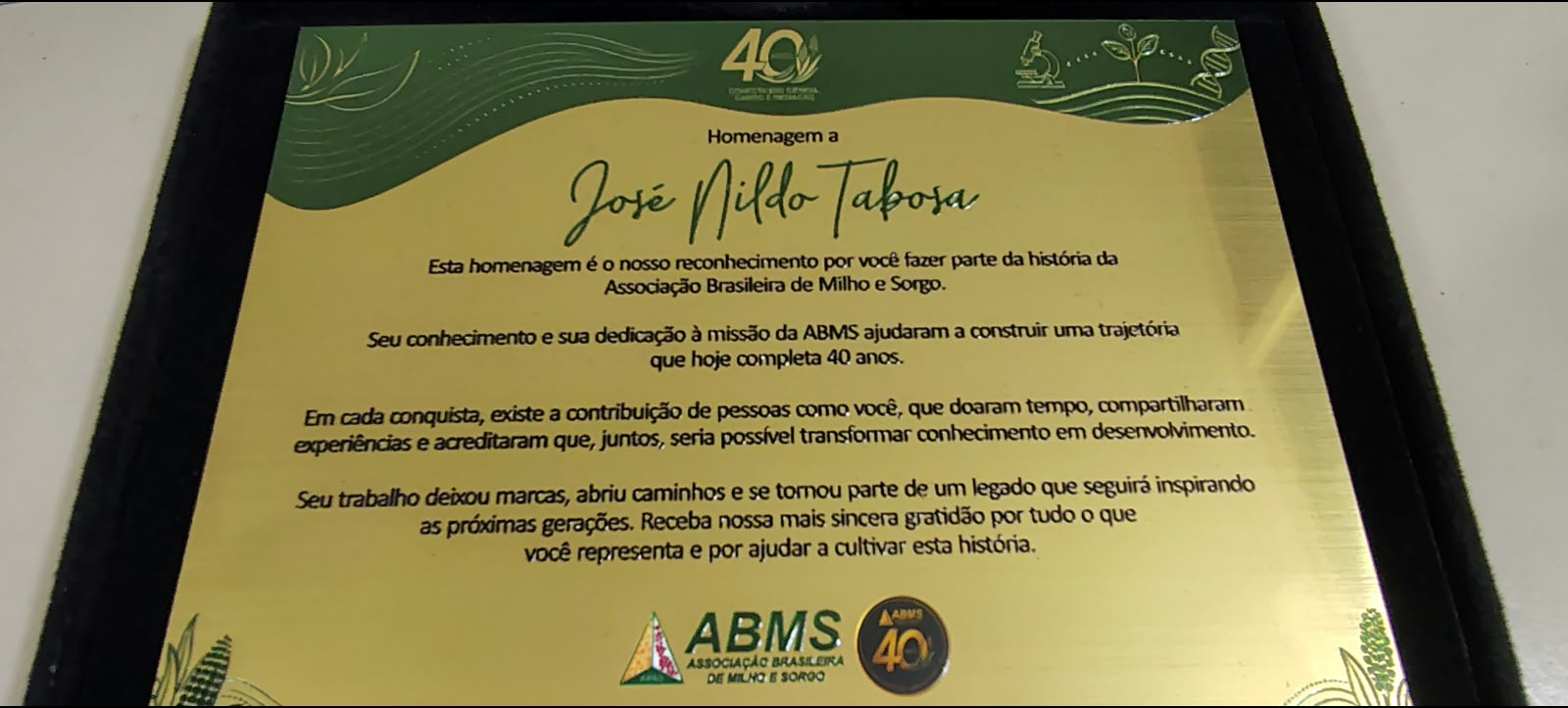 Pesquisador do IPA é homenageado em Congresso Nacional de Milho e Sorgo